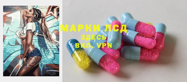 apvp Белокуриха