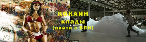 apvp Белокуриха