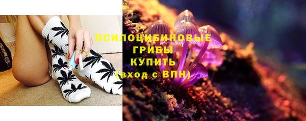 apvp Белокуриха