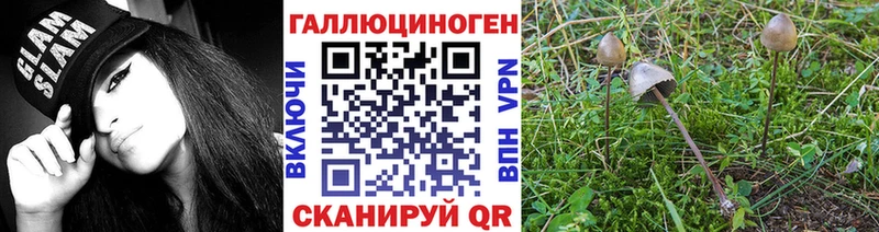 Галлюциногенные грибы Magic Shrooms  Луховицы 